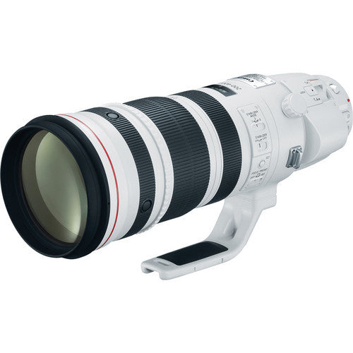 Canon EF 200-400mm f/4L IS USM Extender 1.4x - Photo-Video - Canon - Helix Camera 