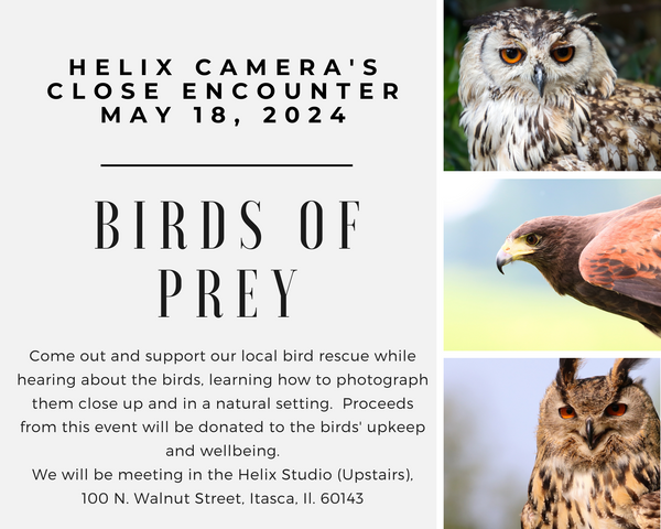 Birds of Prey Encounter   May 18  2024  (11:00AM - 1:30PM)